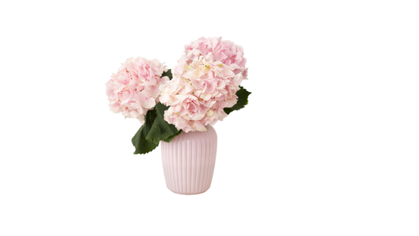 Woven Vase