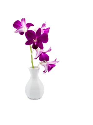 Small White Vase